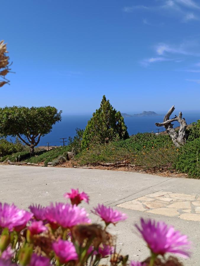 Διαμερίσματα Αλεξαινα Αγία Γαλήνη Εξωτερικό φωτογραφία