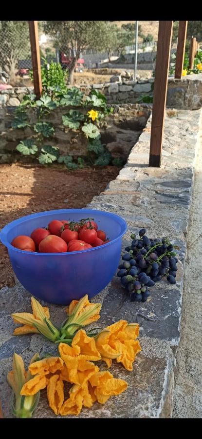 Διαμερίσματα Αλεξαινα Αγία Γαλήνη Εξωτερικό φωτογραφία