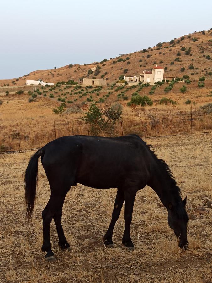 Διαμερίσματα Αλεξαινα Αγία Γαλήνη Εξωτερικό φωτογραφία